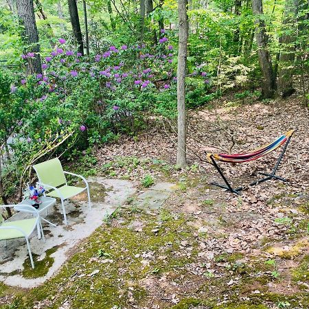 Modern Cabin With Hot Tub Grill Lake Beach Wineries Hiking Fishing And Hershey Park Family And Pet Friendly Superhosts On Ab&B Mount Gretna Bagian luar foto